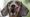 Raw Energy expands recall of pet food because of Listeria test results