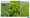 California Leafy Greens growers spend less than $60 per acre on food safety efforts