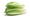 Publisher's Platform: What the FDA did not want you to read about the November 2024 romaine E. coli outbreak