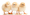 Poultry firm reveals Salmonella contamination cost