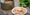 EU histamine survey reveals training gaps