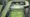 Cyclospora outbreak patient count tops 20,000