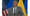 The Sunday Edition: RFK Jr.