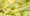 CDC adds more than 3,000 more patients to count in Cyclospora outbreak linked to lettuce