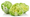 First deaths in Cyclospora outbreak reported by Michigan