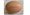 Ukrainian egg firm comments on UK Salmonella link