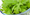 Salmonella sickens 16 in Sweden