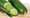 Cucumber Salmonella outbreak strain isolated from four sites of UK company