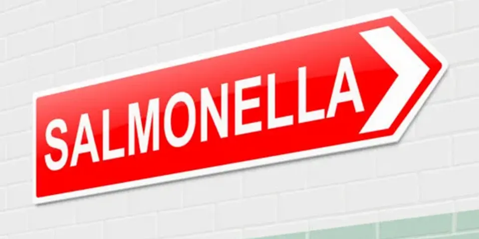 English foodborne illness figures remain at high levels