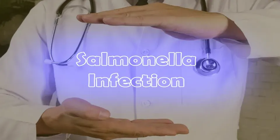 Study shows link between climate and antimicrobial resistant Salmonella