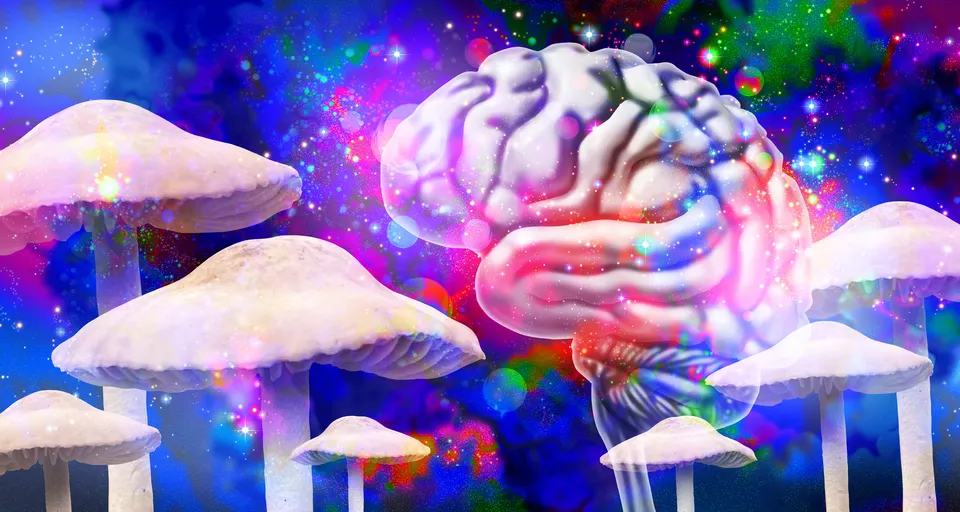 Sunday Edition: Shrooms
