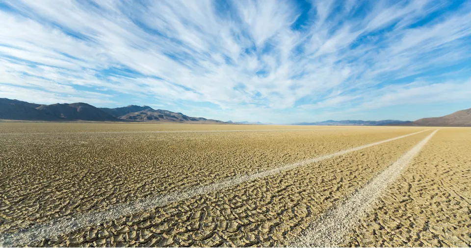 Sunday Edition: Regenerative Agriculture