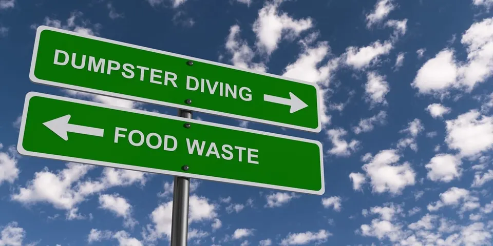 Scientists highlight food safety angle of dumpster diving