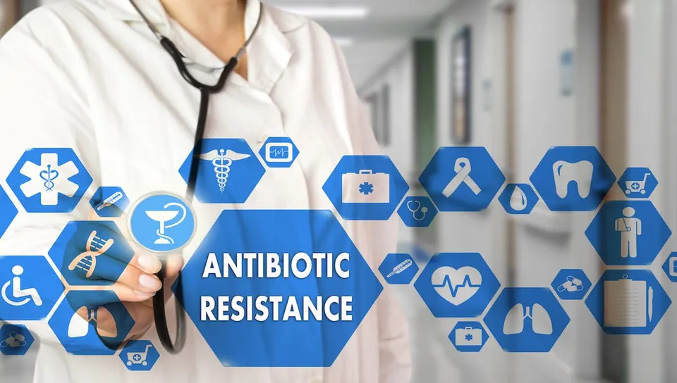 Researchers assess antimicrobial resistance in Salmonella