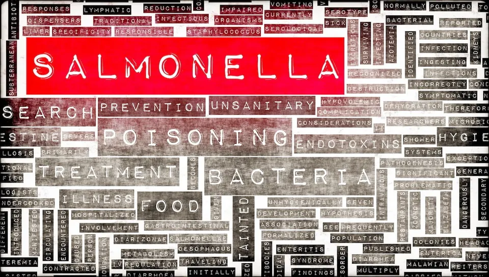 Outbreak in Ireland tied to Romanian pork; other countries report illnesses