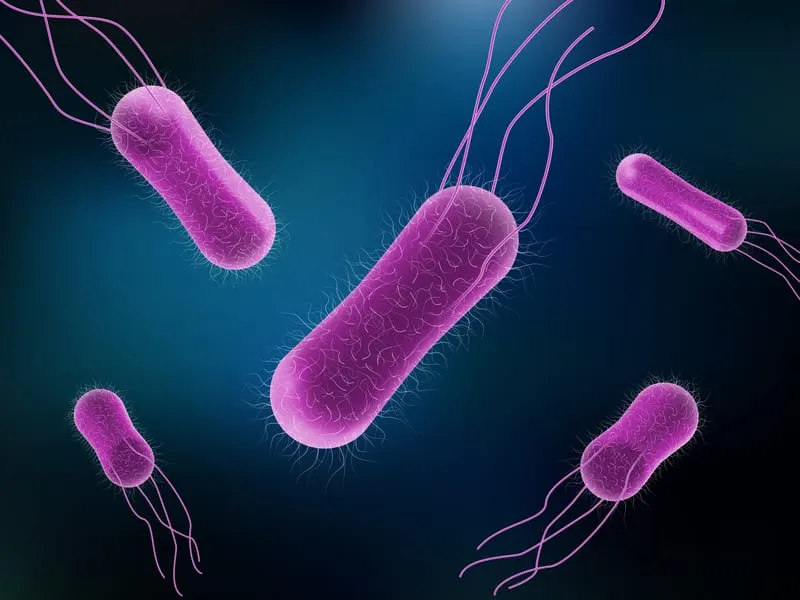People ill in UK from rare Salmonella strain in pork from Romania