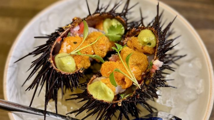 Holbox sea urchin ceviche Los Angeles Michelin star sustainable seafood