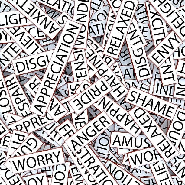 In a word feature image