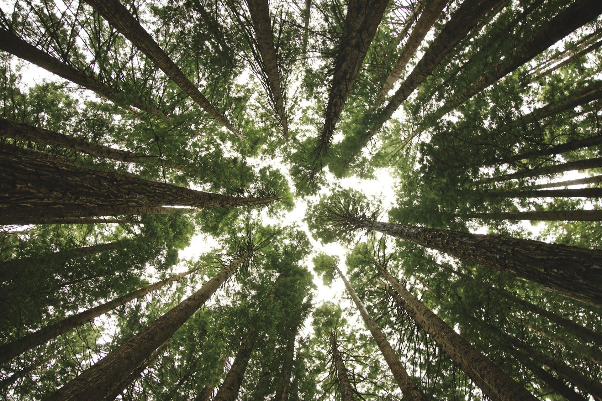 If you want to thrive in life, focus on these 8 things <<more>> feature image