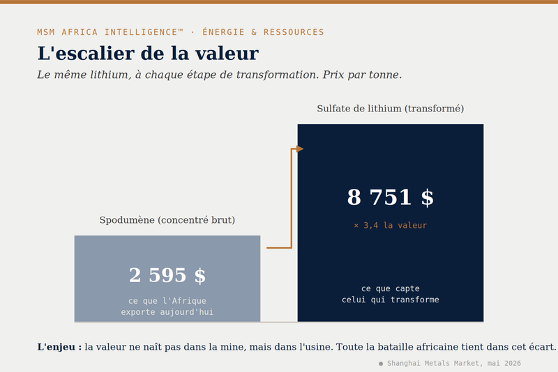 16 000 milliards de dollars : l'Afrique face à la fenêtre qui ne restera pas ouverte