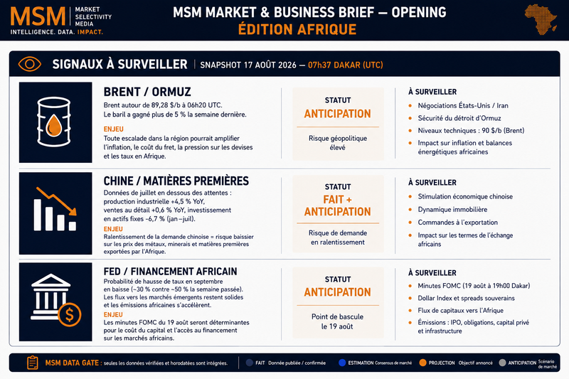 MSM MARKET & BUSINESS BRIEF