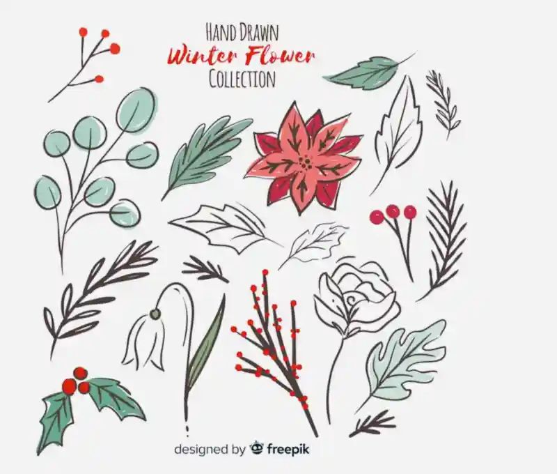 Fall Foraging in Your Own Yard