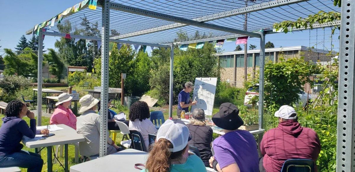 Community Urged to Act as ‘Shark Garden’ Faces Possible Removal