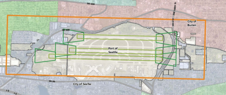 Nine Feet Inside the Line: Why Six Douglas Firs Are Coming Down in Mathison Park