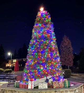 Reminder: Normandy Park's Beloved Winterfest Celebration - Dec 6