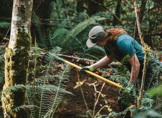 Miller and Walker Creek Watershed; Volunteers Needed!