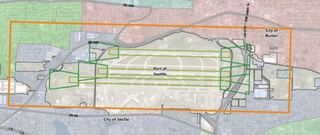 Nine Feet Inside the Line: Why Six Douglas Firs Are Coming Down in Mathison Park