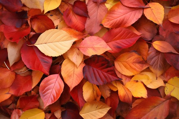 Normandy Park City Manager Report – November 14, 2025