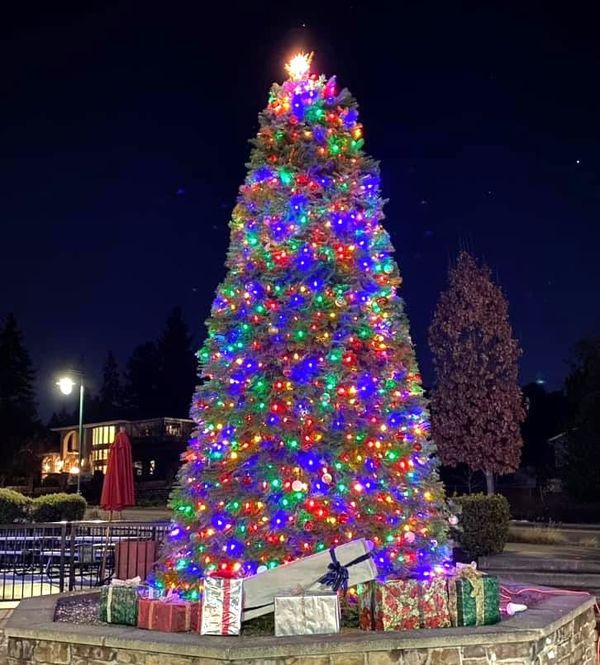 Reminder: Normandy Park's Beloved Winterfest Celebration - Dec 6