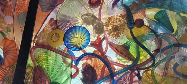 Celebrating American Heritage: Dale Chihuly and the Washington State History Museum