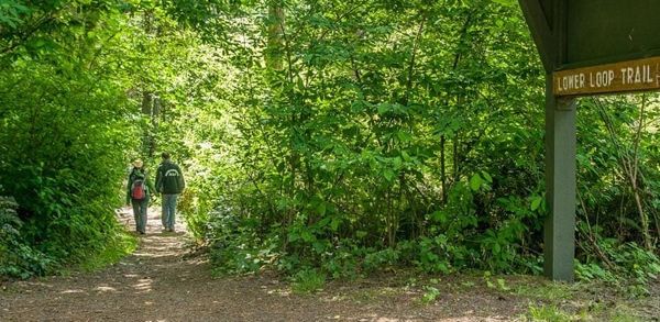 Celebrating America’s 250th: Northwest Walks Featuring Industrial Heritage