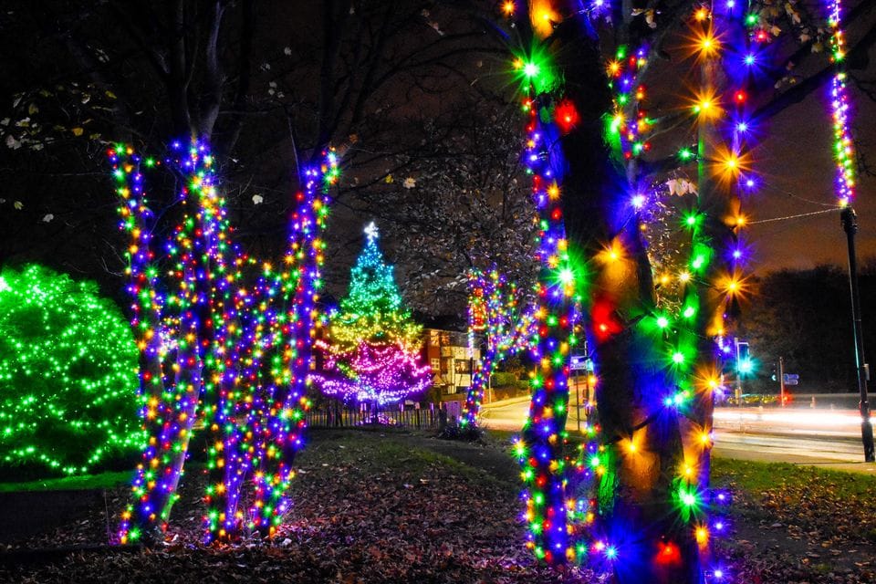 Help light up West Kirby's trees for Christmas