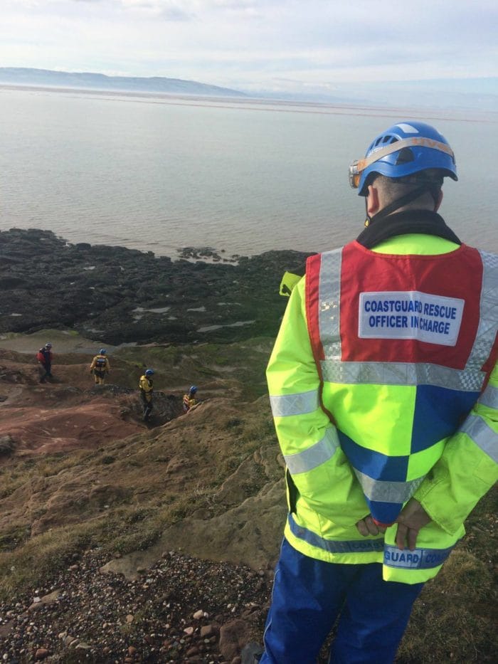 Emergency services rescue injured seal