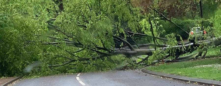 Storm Hannah causes travel disruption