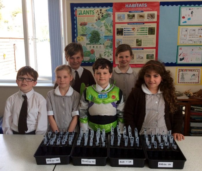 Avalon School astronaut project