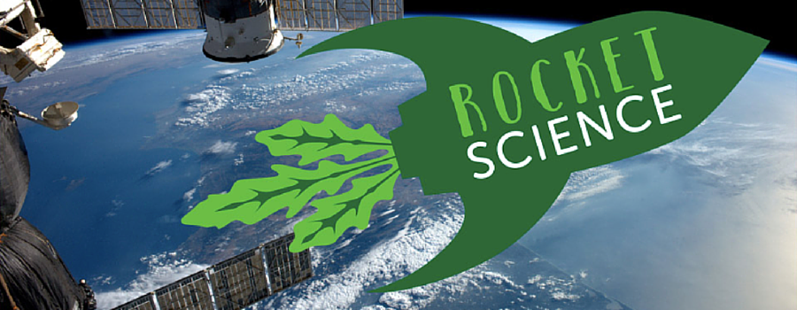 ‘Ground Control’ to local schoolchildren as they join Tim Peake astronaut project