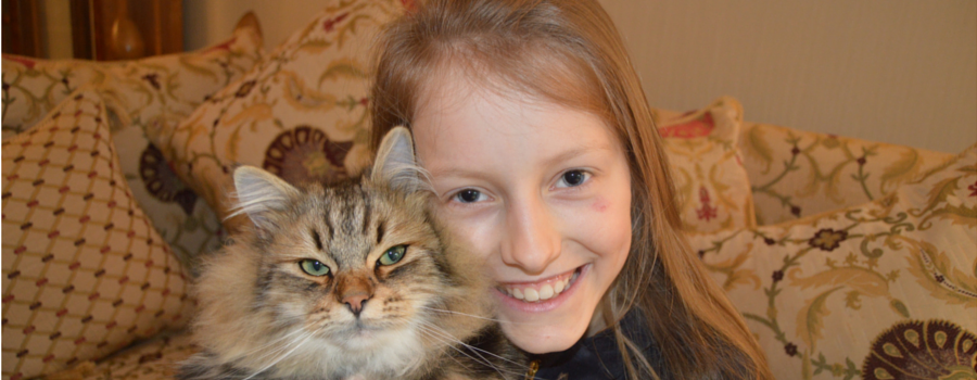 Meet Basja - the very lucky cat rescued from a plug hole