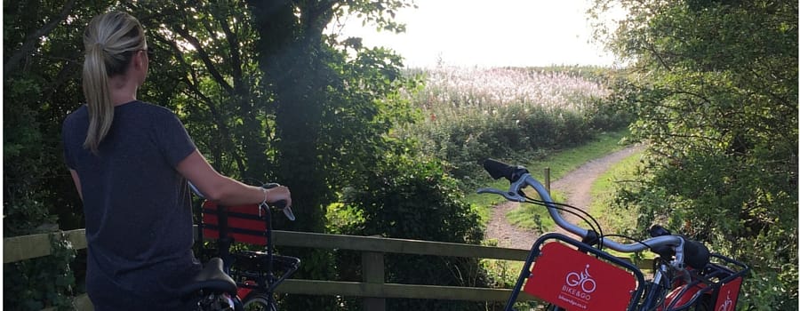 Bike hire scheme hosts free Clean Air Day wellbeing event in West Kirby