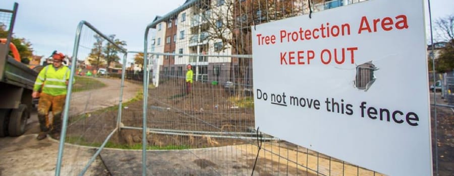 Anger as trees felled at controversial new social housing scheme