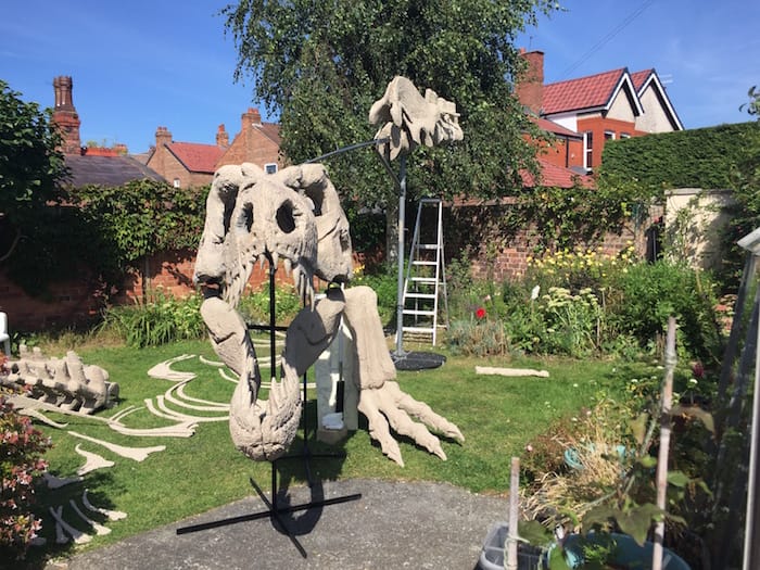 Building the giant T-Rex replica skeleton in a back garden