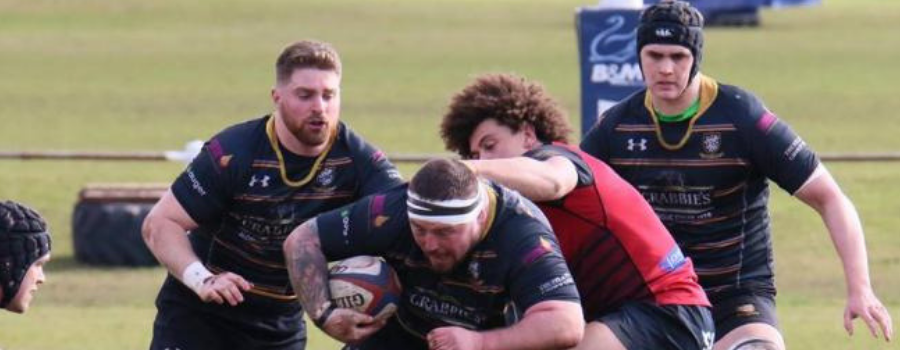 Plymouth Albion v Caldy