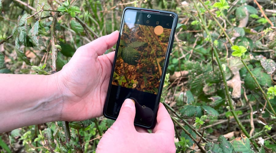 Sign up for nature challenge walks