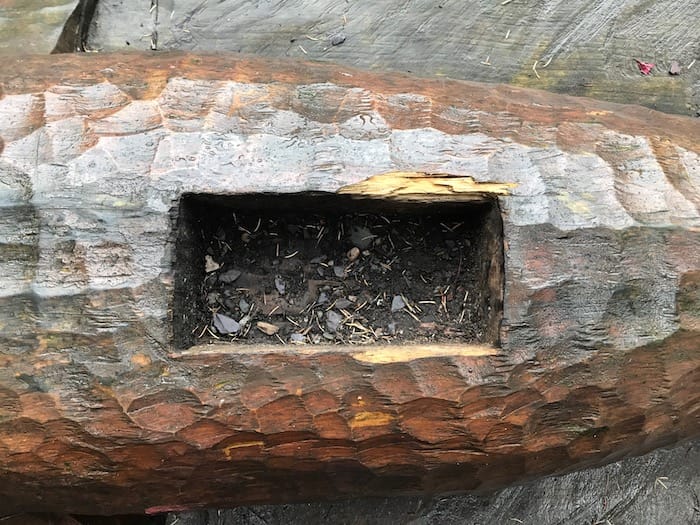 Damage to dolphin in Ashton Park