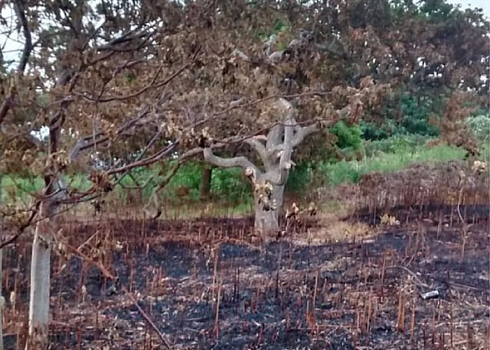 Fire damage at Grange Hill. Photo courtesy of West Kirby Today reader @Scarf_Addict 
