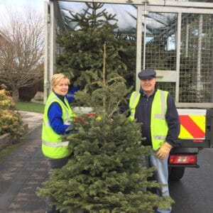 Hospice's tree-mendous recycling scheme