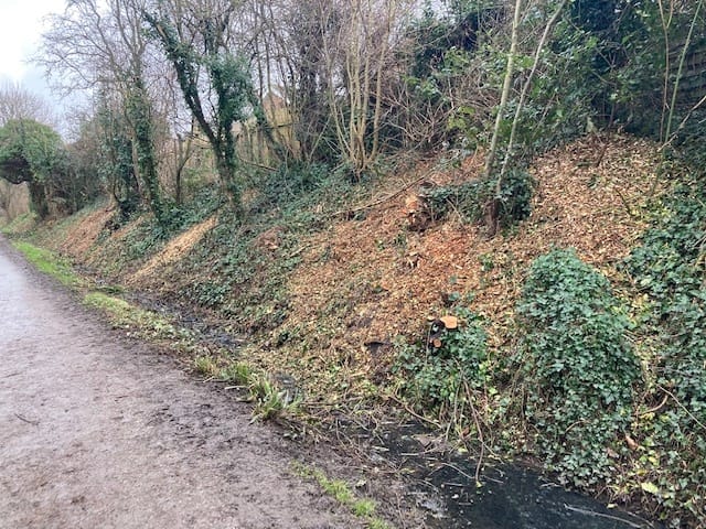 Wirral Way 'cut and clear' work designed to improve biodiversity